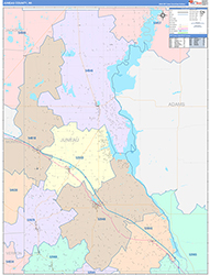 Juneau County, WI Wall Map Color Cast Style 2026
