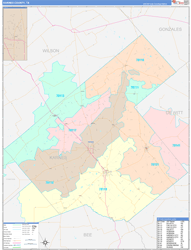 Karnes County, TX Wall Map Color Cast Style 2024