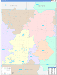 Lake County, MI Wall Map Color Cast Style 2024