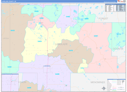 Langlade County, WI Wall Map Color Cast Style 2024