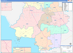Levy County, FL Wall Map Color Cast Style 2026
