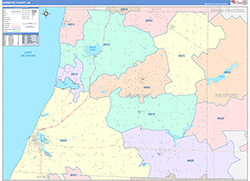 Manistee County, MI Wall Map Color Cast Style 2026