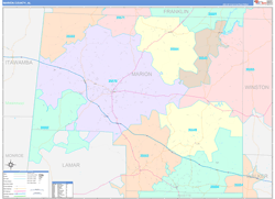 Marion County, AL Wall Map Color Cast Style 2024
