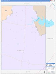 Mcmullen Color Cast<br>Wall Map