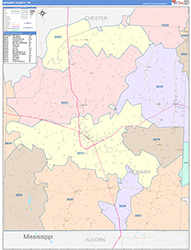 Mcnairy Color Cast<br>Wall Map