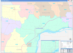 Muscatine County, IA Wall Map Color Cast Style 2024