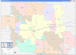 Muskingum County, OH Wall Map Color Cast Style 2024