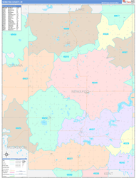 Newaygo County, MI Wall Map Color Cast Style 2024