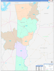 Newton County, TX Wall Map Color Cast Style 2023