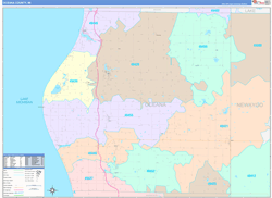 Oceana County, MI Wall Map Color Cast Style 2024