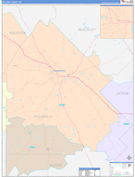 Pulaski County, GA Wall Map Color Cast Style 2024