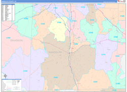 Randolph County, NC Wall Map Color Cast Style 2024