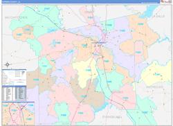 RapidesParish (County), LA Wall Map Color Cast Style 2023