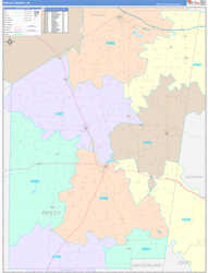 Ripley County, IN Wall Map Color Cast Style 2024