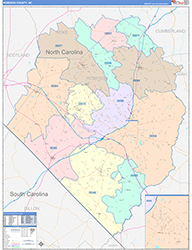 Robeson County, NC Wall Map Color Cast Style 2026