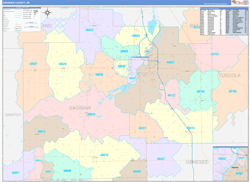Saginaw County, MI Wall Map Color Cast Style 2024