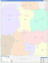 Saline County, NE Wall Map Color Cast Style 2024