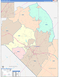 Scotland County, NC Wall Map Color Cast Style 2026