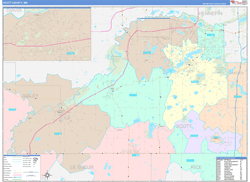 Scott County, MN Wall Map Color Cast Style 2024