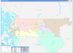Skagit Color Cast<br>Wall Map