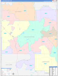 Tallahatchie ColorCast Wall Map