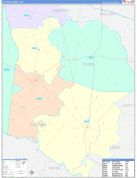 Tattnall County, GA Wall Map Color Cast Style 2024