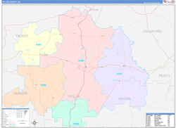 Taylor County, GA Wall Map Color Cast Style 2024
