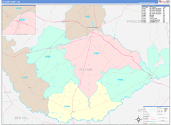 Telfair County, GA Wall Map Color Cast Style 2024