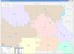 Thurston County, NE Wall Map Color Cast Style 2024