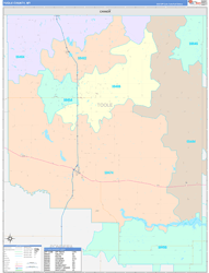 Toole County, MT Wall Map Color Cast Style 2023
