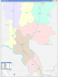 Union County, SD Wall Map Color Cast Style 2024