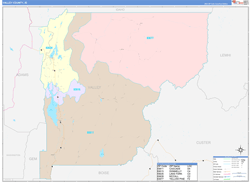 Valley County, ID Wall Map Color Cast Style 2024