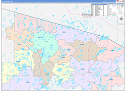 Vilas County, WI Wall Map Color Cast Style 2026