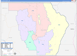 Wallowa County, OR Wall Map Color Cast Style 2026