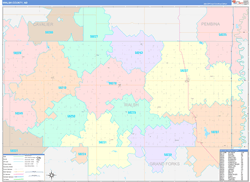 Walsh County, ND Wall Map Color Cast Style 2023