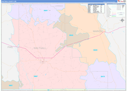 Walthall County, MS Wall Map Color Cast Style 2024
