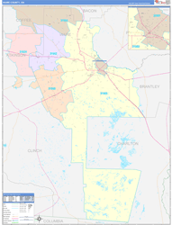 Ware County, GA Wall Map Color Cast Style 2024