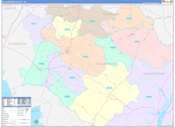 WilliamsburgCounty, SC Wall Map Color Cast Style 2024