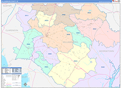 WilliamsburgCounty, SC Wall Map Color Cast Style 2026