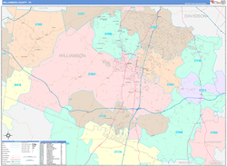 Williamson County, TN Wall Map Color Cast Style 2024