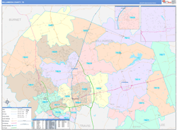 Williamson County, TX Wall Map Color Cast Style 2024
