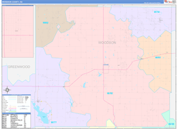 Woodson County, KS Wall Map Color Cast Style 2024