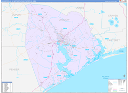 Jacksonville Metro Area Wall Map Color Cast Style 2024