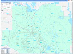 Ocala Metro Area Wall Map Color Cast Style 2024