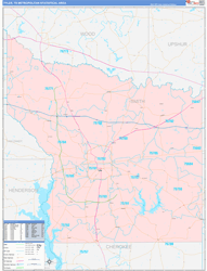 Tyler Metro Area Wall Map Color Cast Style 2024