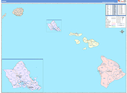 Hawaii Wall Map Color Cast Style 2026