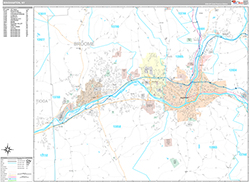 Binghamton Wall Map Premium Style 2026