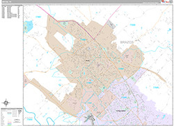 Bryan Wall Map Premium Style 2026