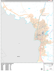Laredo Wall Map Premium Style 2026