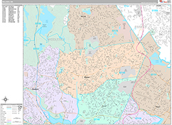 Malden Wall Map Premium Style 2026